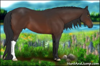 Horse Color:Brown 
