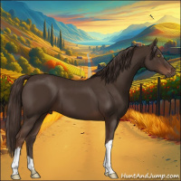 Horse Color:Liver Chestnut 