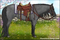 Horse Color:Blue Roan 