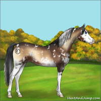 Horse Color:White Spotted Brown Onyx Splash 