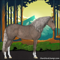 Horse Color:Silver Black 