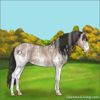 Horse Color:White Spotted Sable Champagne Ice 