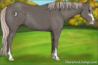 Horse Color:Silver Black Sabino 