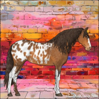 Horse Color:White Spotted Buckskin Blanket 