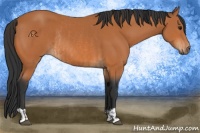 Horse Color:Bay  and Bay Rabicano 