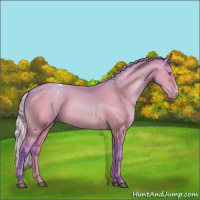 Horse Color:Watercolor Silver Bay Pearl Appaloosa 