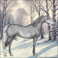 Horse Color:Silver Grullo Chinchilla 