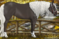 Horse Color:Liver Chestnut Mushroom 