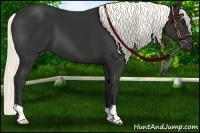 Horse Color:Liver Chestnut Mushroom 