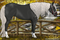 Horse Color:Liver Chestnut Mushroom 