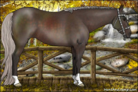 Horse Color:Silver Brown Mushroom