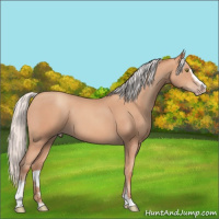 Horse Color:Silver Sable Champagne Sabino 