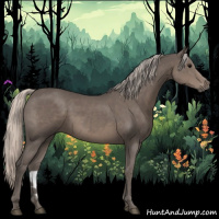 Horse Color:Silver Black 