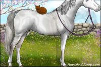 Horse Color:Gray White Spotted Liver Red Dun Ice Pearl Mushroom Sabino Rabicano 