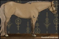 Horse Color:Chocolate Palomino Dun 