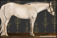 Horse Color:Chocolate Palomino Pearl