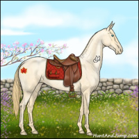 Horse Color:Buckskin Roan Pearl  and Buckskin Roan Pearl 
