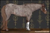 Horse Color:Liver Red Roan Varnish Rabicano 