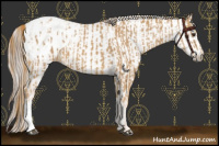 Horse Color:Chestnut Blanket  and Gray Chestnut Blanket 