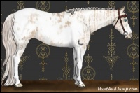 Horse Color:Chocolate Palomino Pearl Tobiano Frame Appaloosa  and Chocolate Palomino Pearl Tobiano Frame Appaloosa 