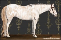Horse Color:Gold Champagne Pearl Appaloosa Rabicano and Gold Champagne Pearl Appaloosa Rabicano