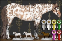 Horse Color:Bay Dun Appaloosa and Bay Dun Appaloosa Rabicano