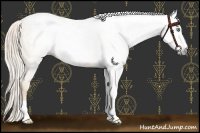 Horse Color:Gray Silver Amber Cream Champagne Roan Dun Splash Tobiano Frame Appaloosa Rabicano 