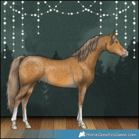 Horse Color:White Spotted Chocolate Palomino Dun Tobiano Rabicano