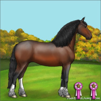 Horse Color:Brown 