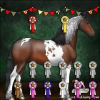 Horse Color:Brown Tobiano 