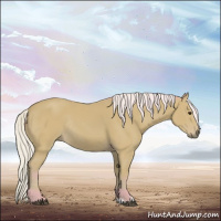 Horse Color:Watercolor Silver Bay Sabino Rabicano 