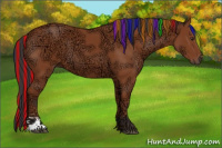 Horse Color:Painted Bay Ice Sabino 