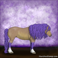 Horse Color:Watercolor Bay Sabino Rabicano 