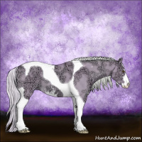 Horse Color:Watercolor Silver Buckskin Ice Dun Sabino Tobiano 