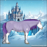 Horse Color:Watercolor Bay Sabino Splash Rabicano 