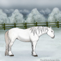 Horse Color:Gray Silver Bay Dun Tobiano Frame 