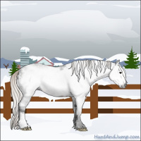 Horse Color:Gray White Spotted Silver Brown Frame Rabicano 