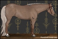 Horse Color:Silver Blue Roan Sabino