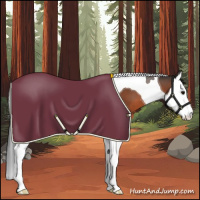 Horse Color:Bay Splash Tobiano Blanket
