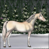 Horse Color:Silver Bay Pearl Onyx 