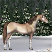 Horse Color:Blue Onyx Pearl
