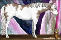 Horse Color:Silver Grullo Sabino Splash Frame