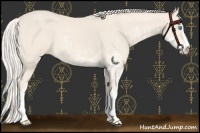 Horse Color:Cremello Sabino and Cremello Roan Sabino