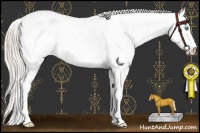 Horse Color:Perlino Sabino and Perlino Sabino