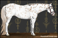 Horse Color:White Spotted Liver Chestnut Pearl Appaloosa Rabicano