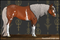 Horse Color:White Spotted Silver Bay 