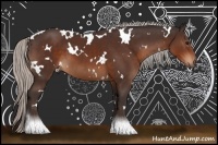 Horse Color:White Spotted Silver Brown Sabino 