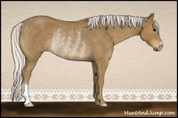 Horse Color:Silver Smoky Blue Roan Rabicano 
