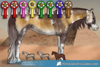Horse Color:Chocolate Buckskin Onyx Mushroom Sabino 