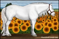 Horse Color:White Spotted Silver Classic Champagne Dun Splash 